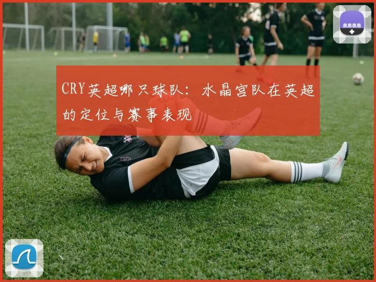 CRY英超哪只球队：水晶宫队在英超的定位与赛事表现