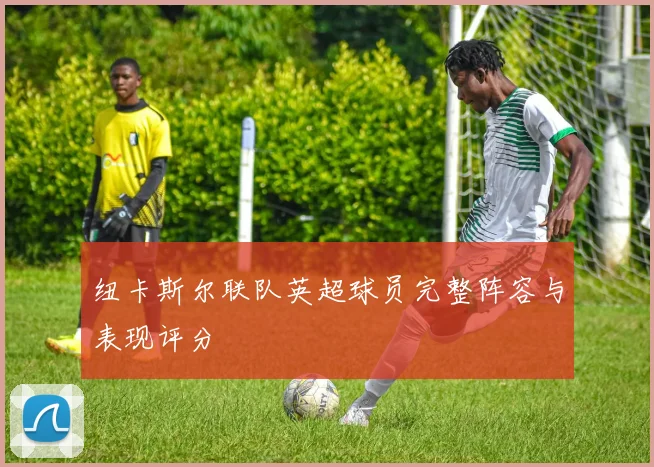 纽卡斯尔联队英超球员完整阵容与表现评分